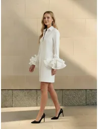 Flared Sleeves Long Sleeves Buttoned Solid Color Lapel Mini Dresses - 4