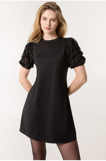 Textured Sleeve Mini Dress