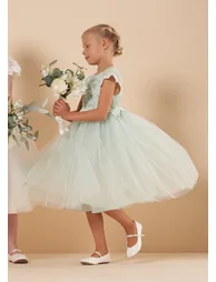 Lucy Lace Bodice Dress - Pistachio