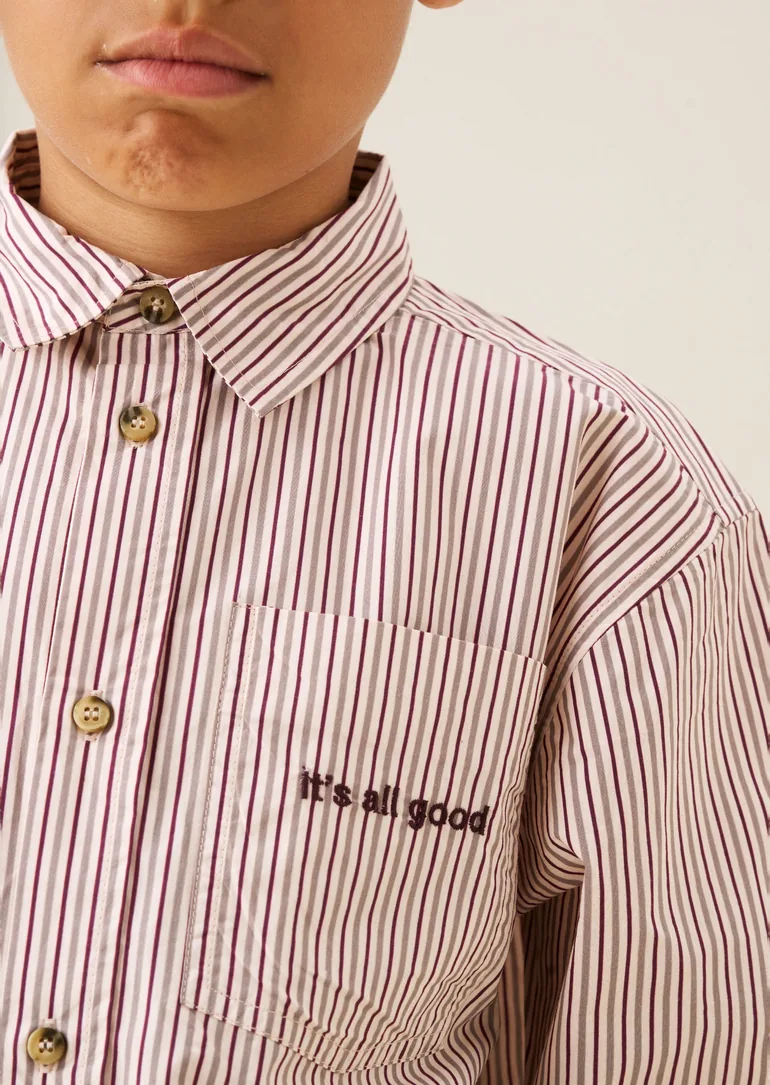 Aiden Fine Stripe Shirt - 2