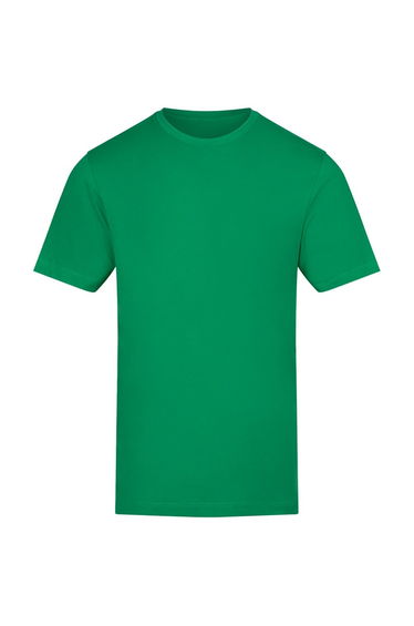 Awdis Unisex Adult 150 T-Shirt - Kelly Green