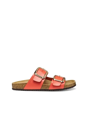 Brionia Large Buckle Mules