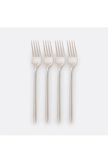 مجموعة شوك ستانليس ستيل عدد 4