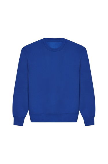 Awdis Unisex Adult Signature Heavyweight Sweatshirt - Bright Royal