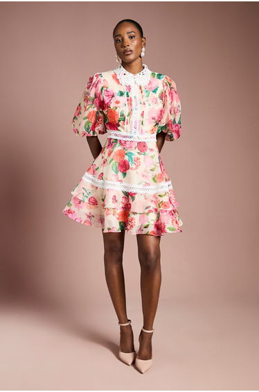 Lace Trim Collared Printed Organza Mini Dress