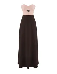 Powder-Brown A-Line Strapless Woven Long Elegant Evening & Graduation Dress - 4