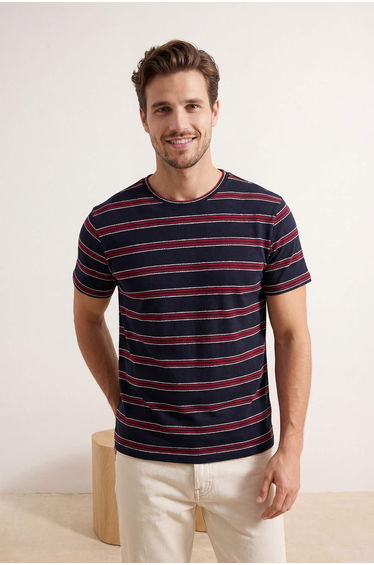Navy Blue Regular Striped Knitted T-Shirt