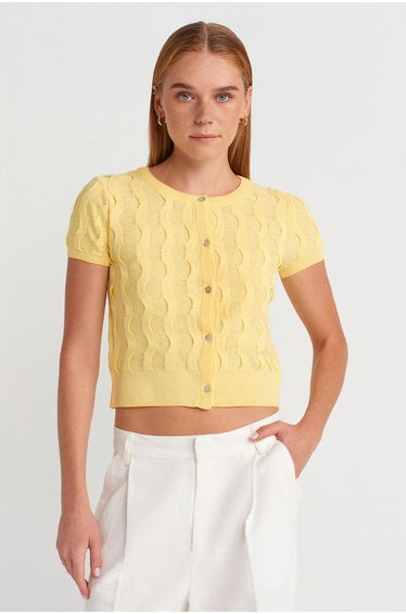DILVIN Women's Cropped Jacquard Button Cardigan