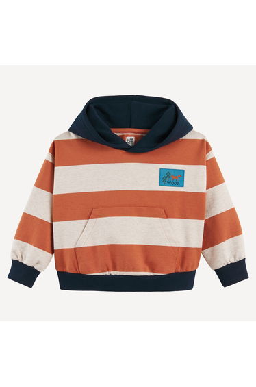 Striped Hoodie