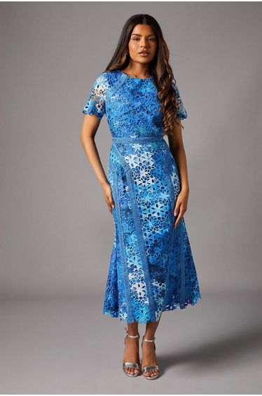 Petite Printed Lace Pencil Dress