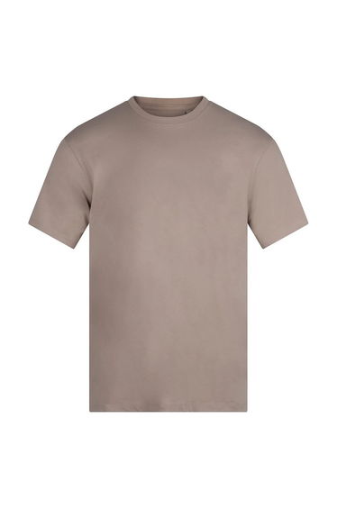Anthem Unisex Adult Midweight Organic T-Shirt - Stone