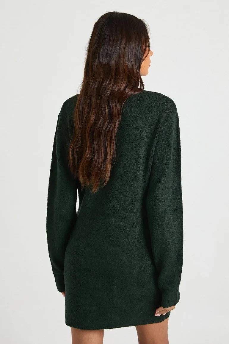 Tall Roll Neck Chunky Knit Mini Dress\ - 1