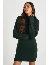 Tall Roll Neck Chunky Knit Mini Dress\