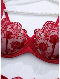 Burgundy Floral Embroidered Mesh Non Padded Wired Bra and Brief Set - 3