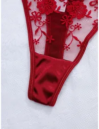 Burgundy Floral Embroidered Mesh Non Padded Wired Bra and Brief Set - 2
