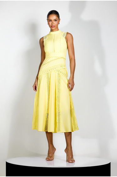 Diana Embroidered Lace Sleeveless Midi Dress