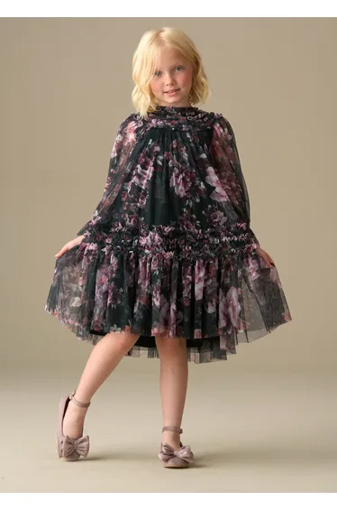 Verity Ruffle Print Mesh Dress