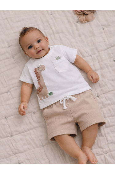 Baby Boys Dino Graphic T-Shirt and Shorts Set