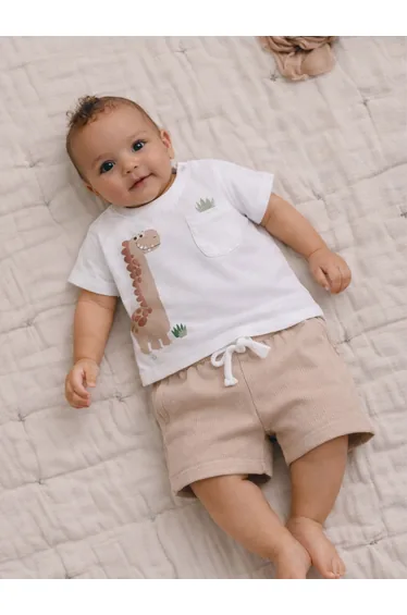 Baby Boys Dino Graphic T-Shirt and Shorts Set
