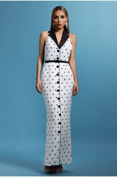 Daryl Sleevess Polka Dot V-Neck Maxi Dress