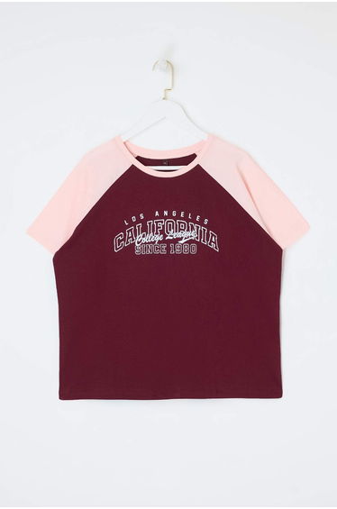 Claret Red Color Block Printed 100% Cotton Knitted Large Size T-Shirt
