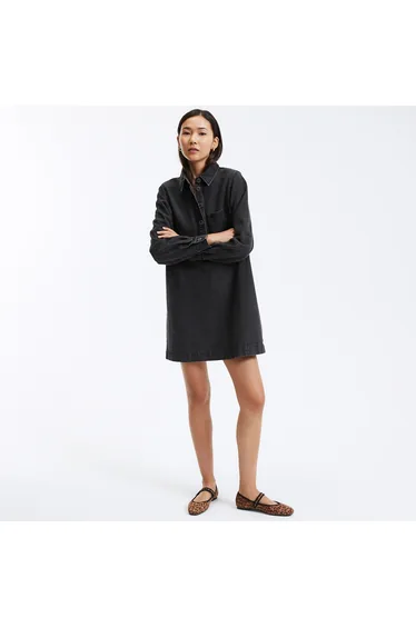 Signatures Albane Mini Dress in Denim