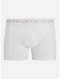 Pack of 3 - Printed Waistband Trunks - 2