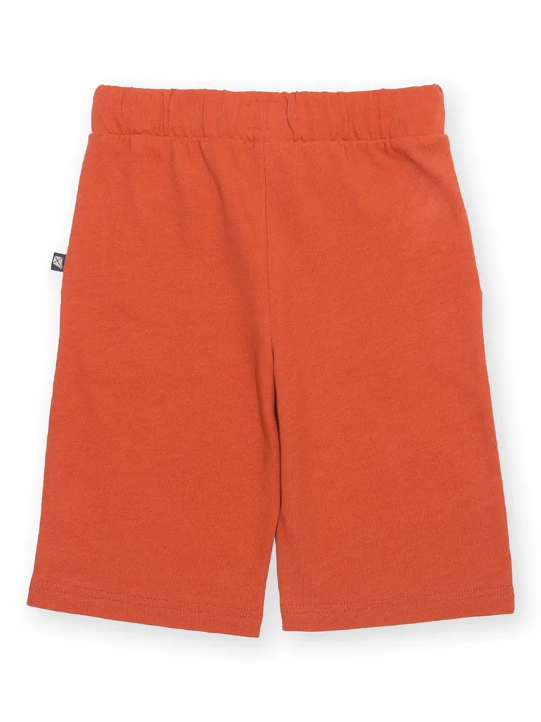 Corfe Shorts Spice - 3