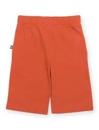 Corfe Shorts Spice - 3