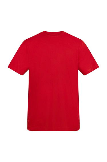 Awdis Unisex Adult Cotton T-Shirt - Fire Red