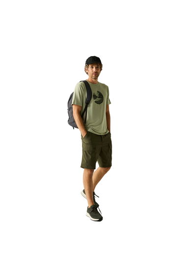 Regatta Mens Fingal Mountain T-Shirt - Light Sage