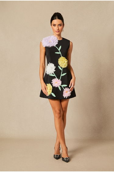 Sibyl Floral Applique Sleeveless Mini Dress