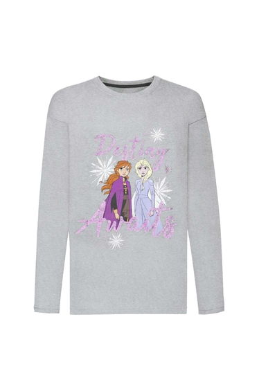 Frozen Girls Destiny Awaits Anna And Elsa Top - Grey