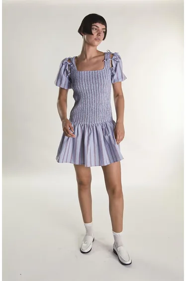 Blue Check Stripe Mini Dress with Bow Sleeves