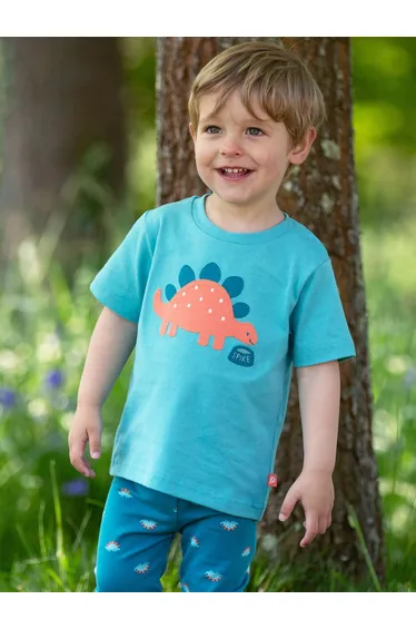 My Pet Steggie T-Shirt