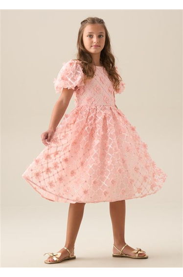 Francine Pink Embellished Puff Sleeve Dress