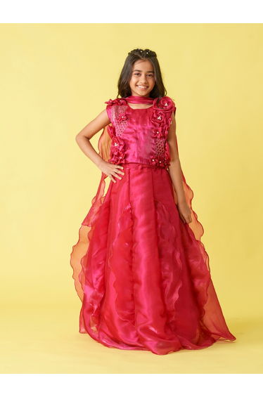 Embellished Organza Top and Lehenga Set