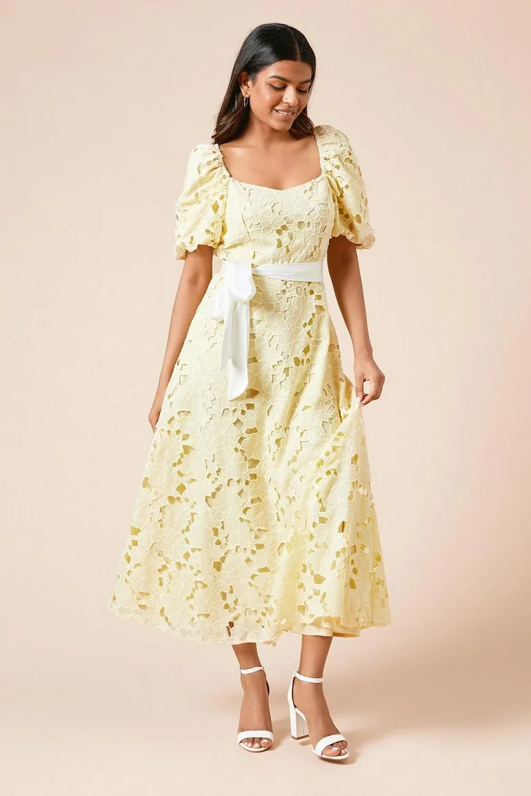 Petite DP Luxe Cutwork Lace Contrast Belt Midi Dress Dorothy Perkins : Dresses : VogaCloset Oman Petite DP Luxe Cutwork Lace Contrast Belt Midi Dress Dorothy Perkins : Dresses : VogaCloset Oman