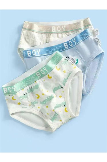 Pack of 3 - Boys Printed Cotton Briefs