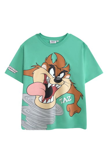 Looney Tunes Boys Taz Short-Sleeved T-Shirt - Green