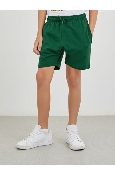 Boys Green Solid Drawstring Waist Shorts with Back Pocket
