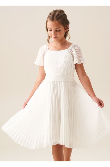 Camille Pleated Georgette Dress