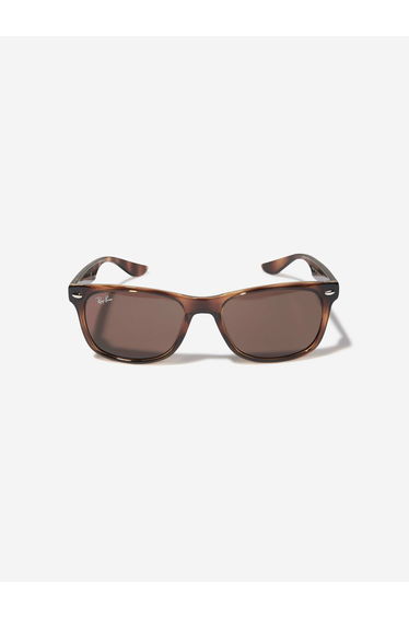 Ray-Ban Kids New Junior Wayfarer Sunglasses in Brown
