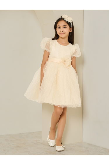 Girls Cream Dobby Organza A-Line Dress