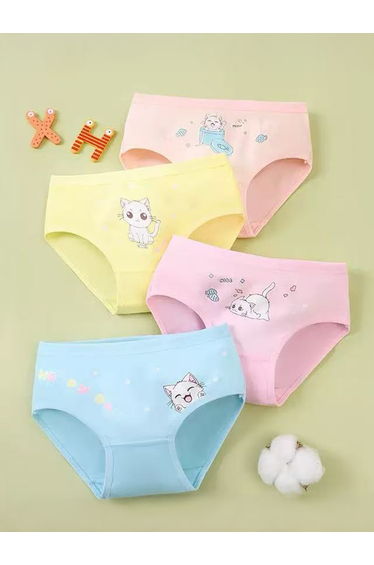 Pack of 4 - Printed Cotton Briefs