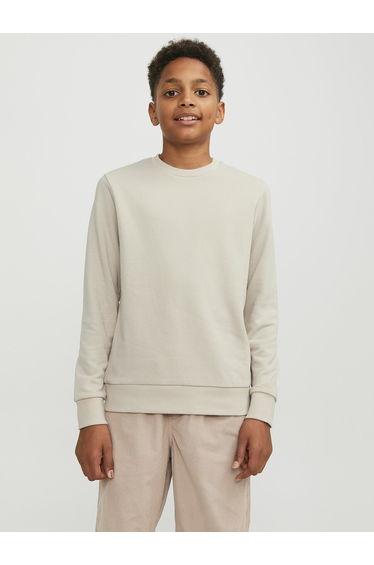 Plain Crew Neck Sweatshirt
