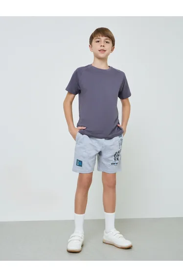 Kids Grey Placement Print Shorts