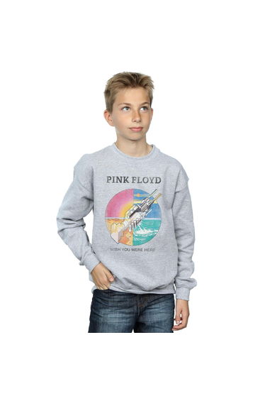 Pink Floyd Boys Wish You Were Here Sweatshirt - Sports Grey