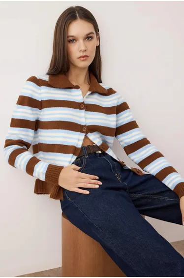 Wardrobe Essentials Brown*001 Polo Collar Striped Knit Cardigan