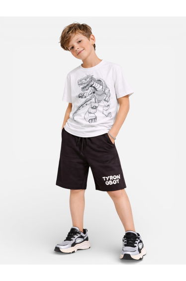Boys Dinosaur Graphic T-Shirt and Shorts Set